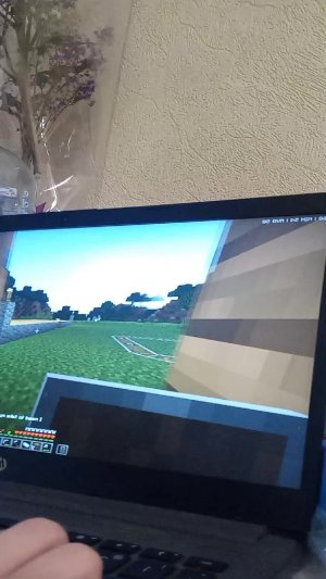 Minecraft с двелерами