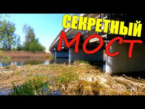ШОК!!! ОГРОМНЫЕ стаи РЫБЫ!!! Подводная съёмка.