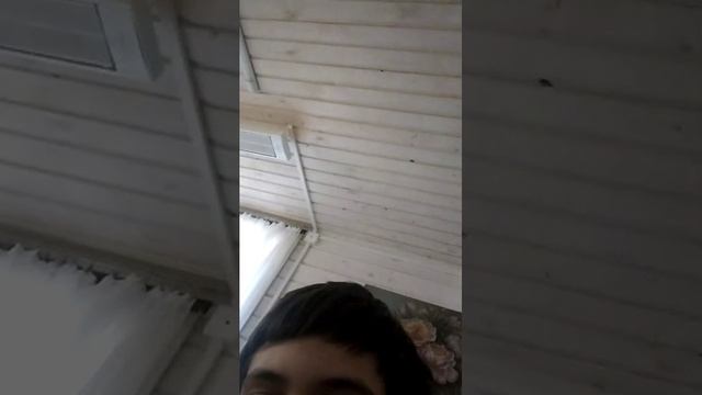 стрим ответы на вопросы смотреть онлайн
