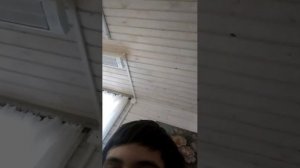 стрим ответы на вопросы