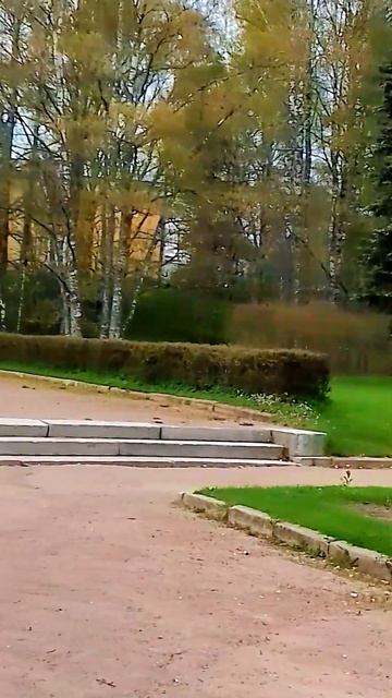 Памятник В. И. Ленину на проспекте Ленина в Зеленогорске.  #travel