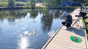 Фореливая рыбалка РК «Фишка Петряиха»