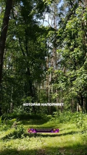 Внушенная идея о жизни в больших городах