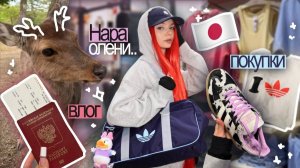 КАК ВЫЖИВАЕТ РУССКОЯЗЫЧННАЯ МОЛОДЕЖЬ  В ЯПОНИИ: Нара и олени, шоппинг в Сибуе, подарки и др.