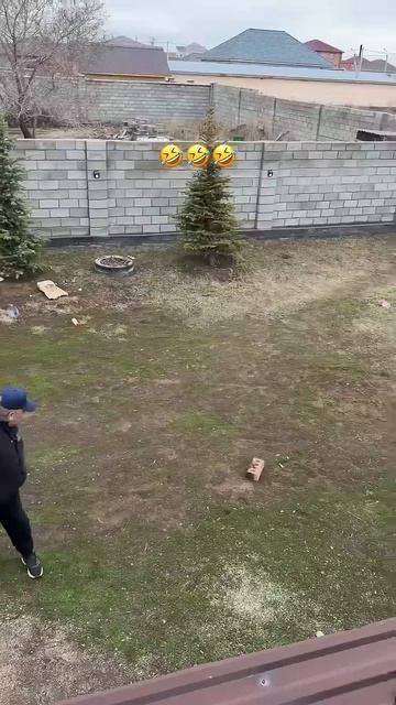 До конца ❤️🤣 #comedy