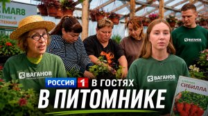 Как выращиваем рассаду: РОССИЯ 1 в гостях в питомнике
