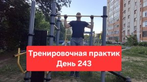Тренировочная практика. День 243