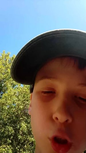 птрткркькр
