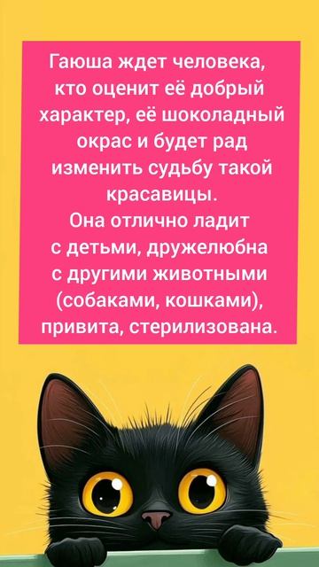 Гаяна ищет дом. #Москва