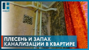 Плесень и запах канализации в квартире: как в доме в центре Тамбова поменяли инженерные коммуникации