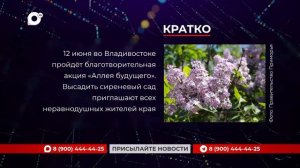 Кратко / 04.06.26