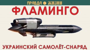 Фламинго: украинская крылатая ракета! (Канал Правда Жизни)