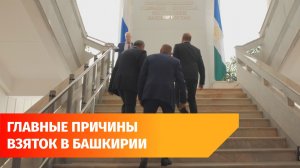 Алчность, надежность и «особенности менталитета»: в Башкирии назвали главные причины взяток