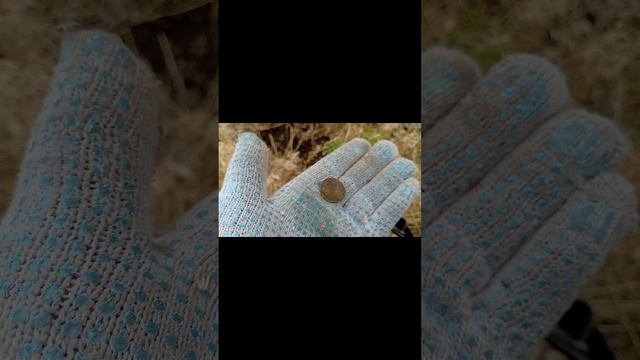 Поднял свою первую чешую с металоискателем.