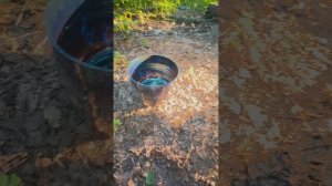 Хрустальная поющая чаша в летнем лесу под пение птиц.