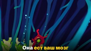 Самый жуткий паразит- амёба, которая пожирает мозг