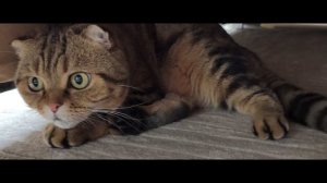 Любимушеньки🥰🥰🥰