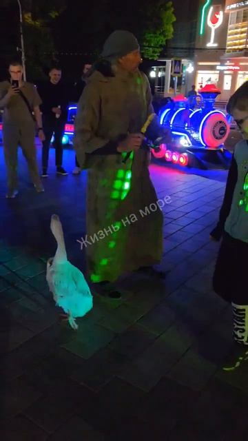 В Анапе даже гуси танцуют сегодня 🤣 смотреть онлайн