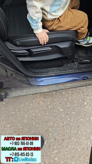 Номер двигателя и номер кузова на HONDA WR-V.
