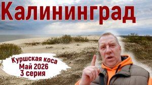 Калининград, май 2026. Национальный парк «Куршская коса». День рождения Светланы. Серия 3.