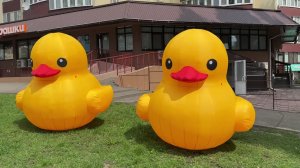 Надувные жёлтые утки для бассейна высотой 1.8 м — герметичная конструкция