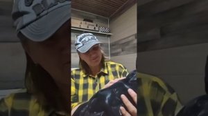 Презент из Америки от подписчицы