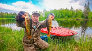 О ТАКОЙ РЫБАЛКЕ МЕЧТАЮТ ГОРОДСКИЕ. ДИКАЯ РЫБАЛКА В ГЛУШИ. ТАЁЖНАЯ РЫБАЛКА С ЛОДКИ НА СПИННИНГ