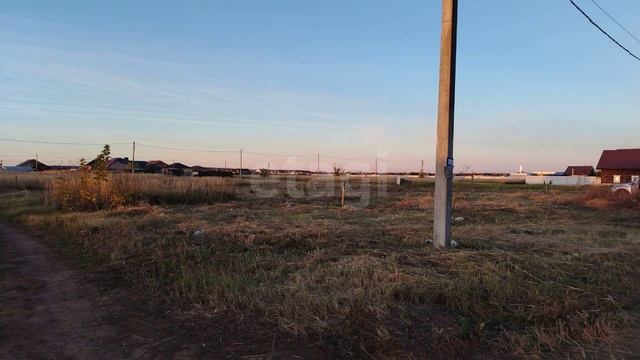 10913433 смотреть онлайн