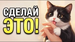 Если кот не дает себя гладить, сделайте ЭТО прямо сейчас!
