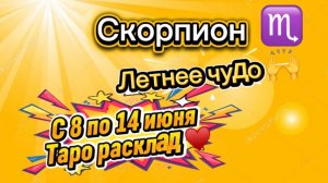 СКОРПИОН летнее ЧУДО  !💕с 8  по 14 июня ‼️ #гадание #таро #раскладтаро