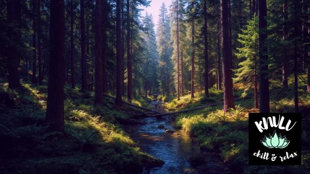 🌿СНИМИ СТРЕСС ЗА 5 МИНУТ. НЕРВНАЯ СИСТЕМА ОТДЫХАЕТ ПОД ЗВУКИ ПРИРОДЫ, ФЛЕЙТЫ, И ПЕНИЕ ПТИЦ.🧘