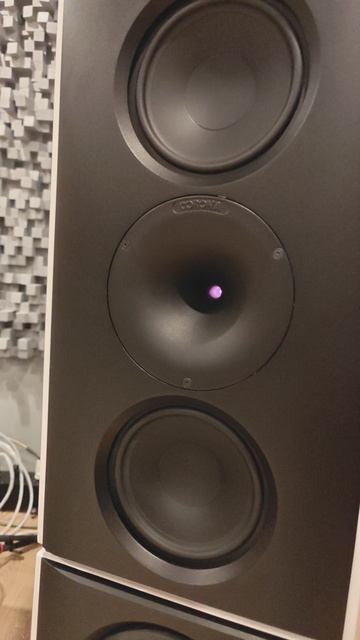 Ну что, заходим с тяжелой артиллерии! Lansche Audio 8.3 - акустика с плазменными излучателями🤘 😁 смотреть онлайн