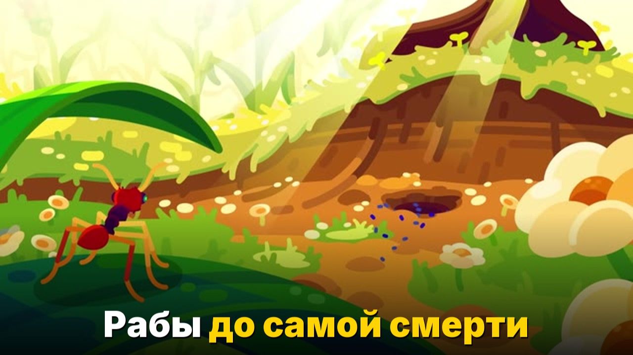 Муравьи-рабовладельцы — самая жестокая стратегия в мире насекомых