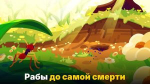 Муравьи-рабовладельцы — самая жестокая стратегия в мире насекомых