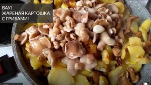 Жареная картошка с грибами . Вкусный картофель . Грибы . Рецепт приготовления. Как приготовить
