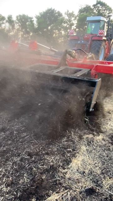 Дискант-Мега🔥 от Willock Farm💪 работа по стерне