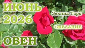ОВЕН | ТАРО прогноз на ИЮНЬ 2026 года | Желание | Расклад таро