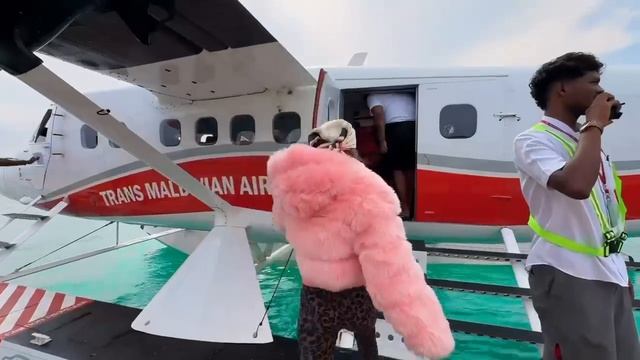 чет на моря охота смотреть онлайн