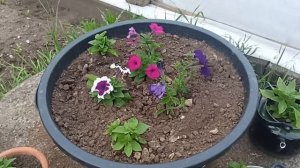 02-06-2026 Жизнь на Западном Урале обычной семьи!!! Здравствуйте лето)))