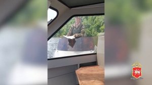 В Республике Татарстан сотрудники полиции выявили факт незаконного вылова биоресурсов