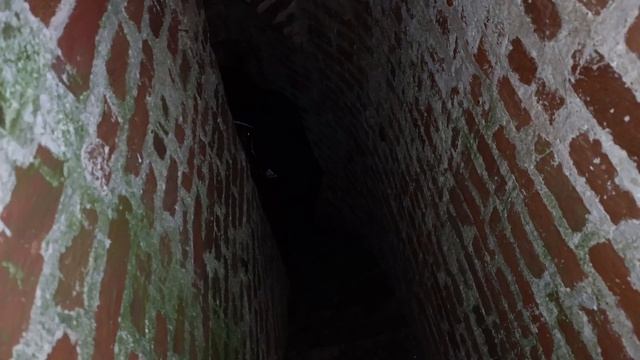 Разрушенная церковь в Ярославском районе 🏚️⛪ смотреть онлайн