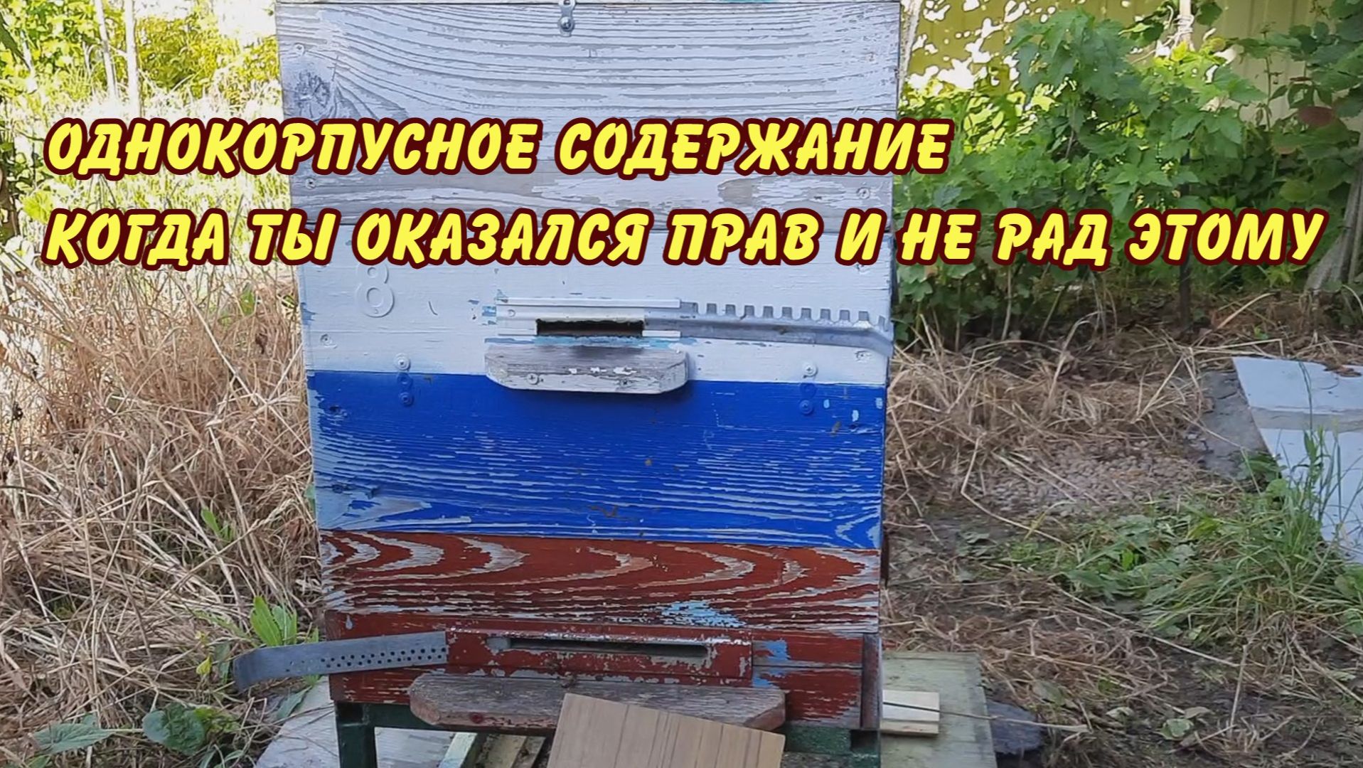 пчеловодство, однокорпусное содержание когда ты оказался прав и не рад этому. 2024 смотреть онлайн