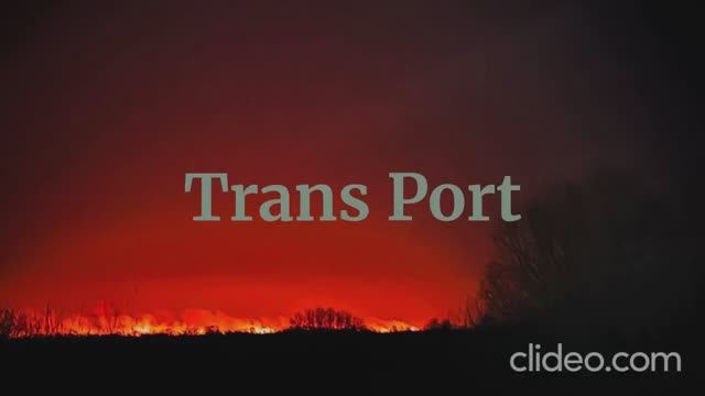 Volf Gang Records®: Trans Port смотреть онлайн