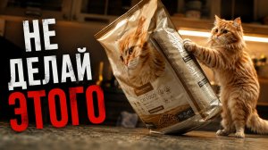 Смех до слёз: лучшие приколы №277