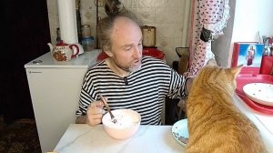 Обед с котями. Регулярно употребляю белковую бомбу. Мукбанг. Обжор. Еда на камеру. Диета. Шизофрения