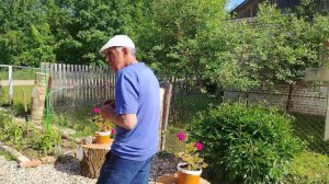 ДЕРЕВЕНСКАЯ ЖИЗНЬ🏡. ВОТ И ЛЕТО НАСТУПИЛО , А РАБОТА НЕ УБОВЛЯЕТСЯ.
