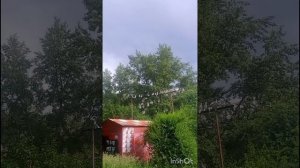 голуби Ломова гон 26 начал