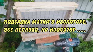 пчеловодство, подсадка матки в изоляторе  2023