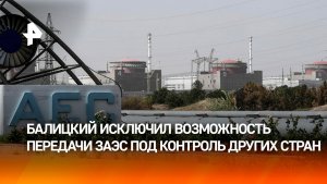 Балицкий исключил возможность передачи ЗАЭС под контроль других стран