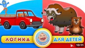 Животный и Транспорт